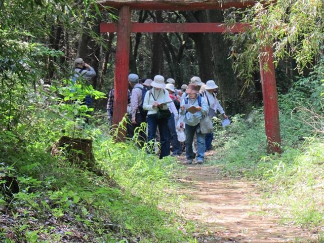 姫宮神社