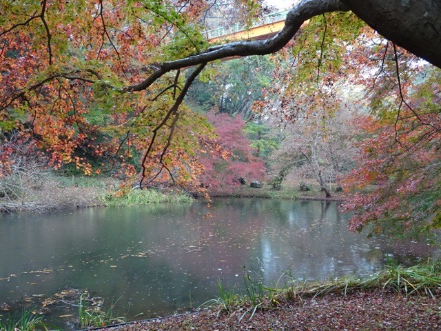 泉自然公園