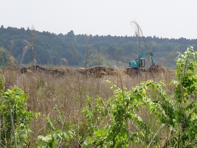 荒涼とした成山地区