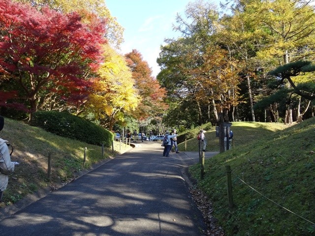 泉自然公園