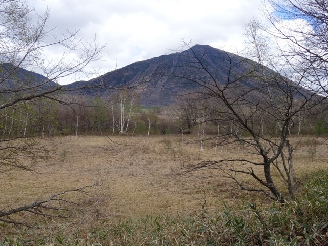 奥日光 戦場ヶ原 日光植物園 自然観察会 四街道自然同好会