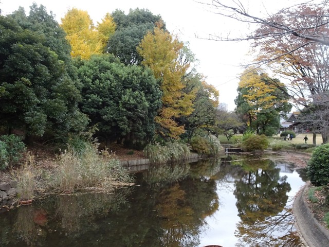 北の丸公園