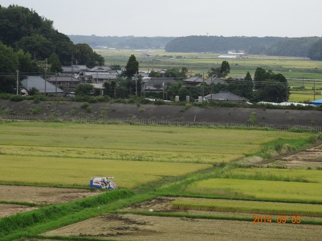 本佐倉城址を望む