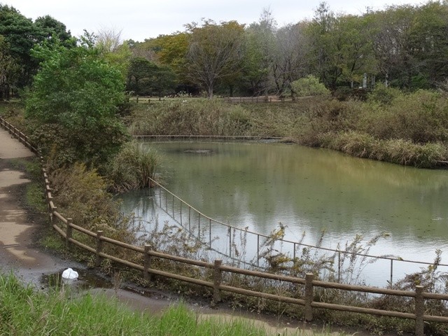 美しが丘近隣公園調整池