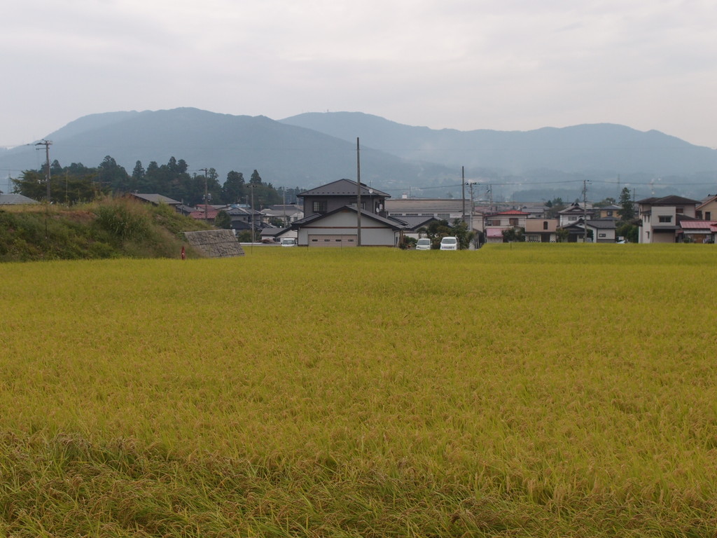 Hiraizumi（Registerd World Heritage）