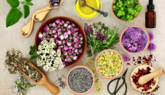 blog sulla dieta montignaca