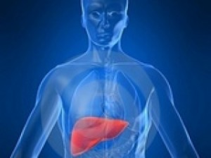 Alimenti Che Fanno Male Al Fegato Dieta Dimagrante Veloce