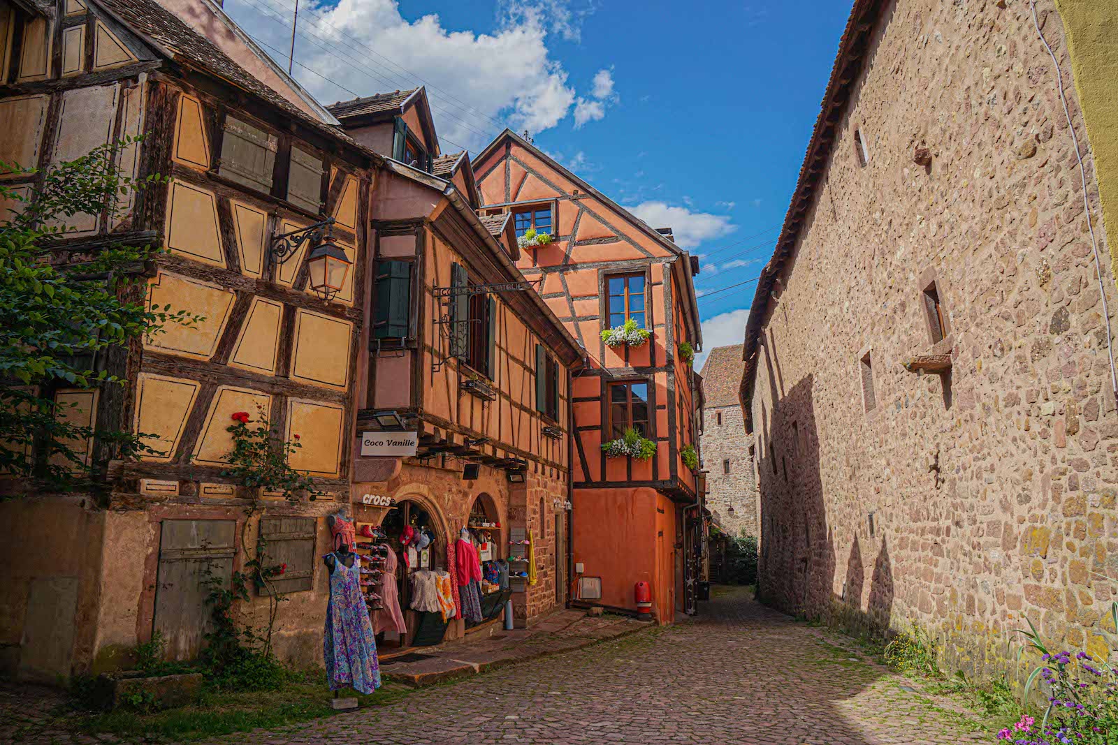 MS Anna Katharina Reisebericht Teil 3: Straßburg, Riquewihr & Rüdesheim