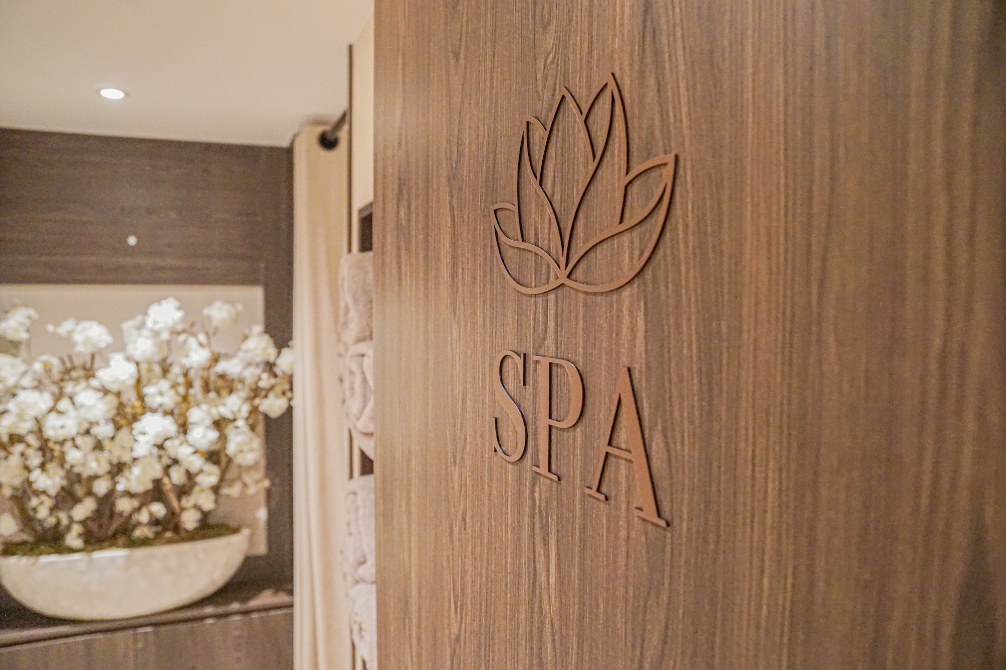 MS VIVA ONE Wellnessbereich
