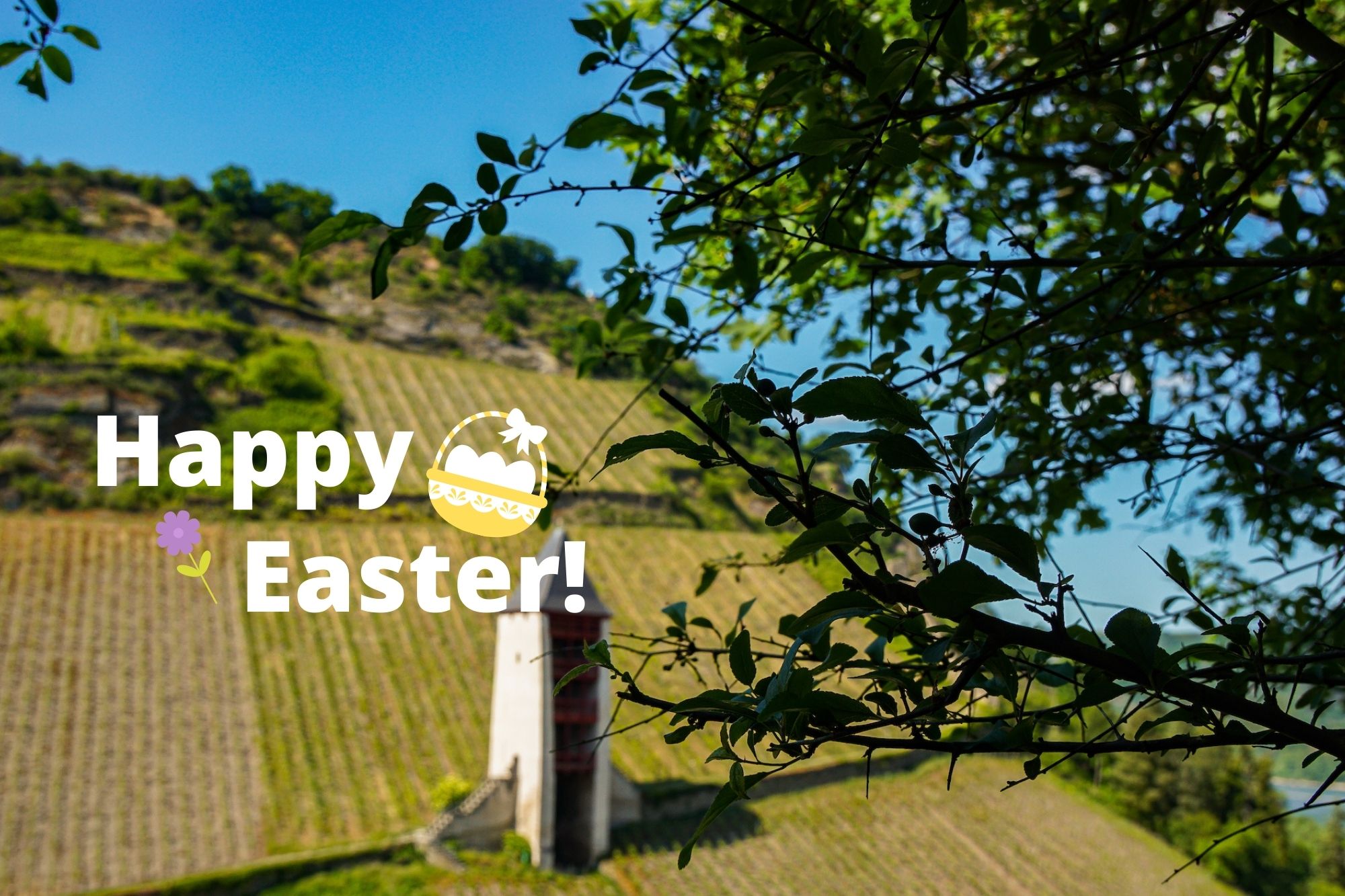Frohe Ostern von Flusskreuzfahrt Entdecker!