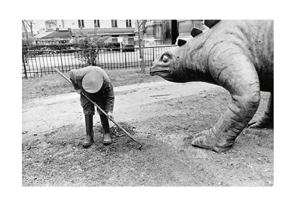  Jardin des Plantes, Paris © Charlie Abad