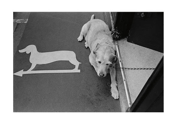 Rue de Condé, Paris © Charlie Abad