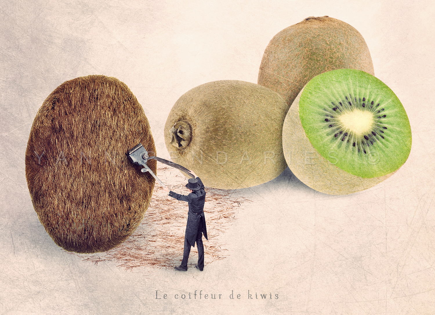 Le coiffeur de kiwis © Yann Pendariès