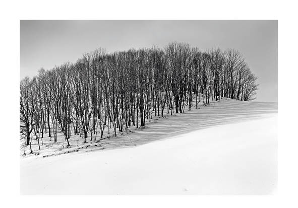 Paysage © Bernard Coste