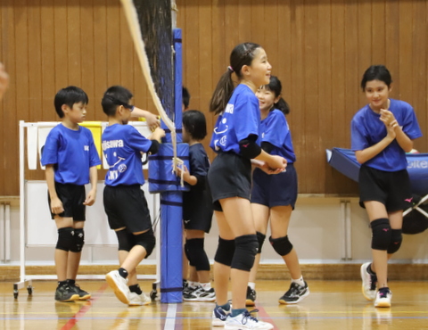 藤沢市バレーボール小学生