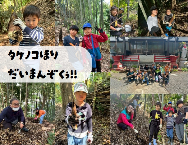 【藤沢市】たけのこほりをしたよ～