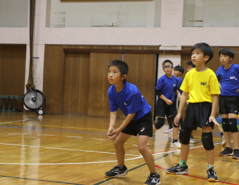 バレーボール小学生藤沢トス