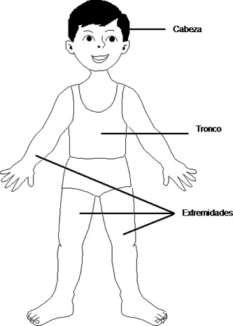 El Cuerpo Humano Y Sus Partes Grado Primero