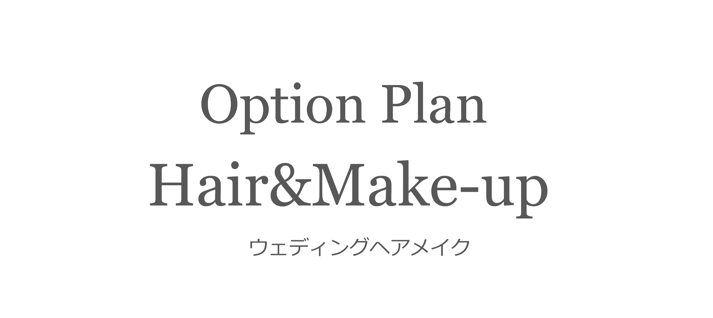 オプションプラン