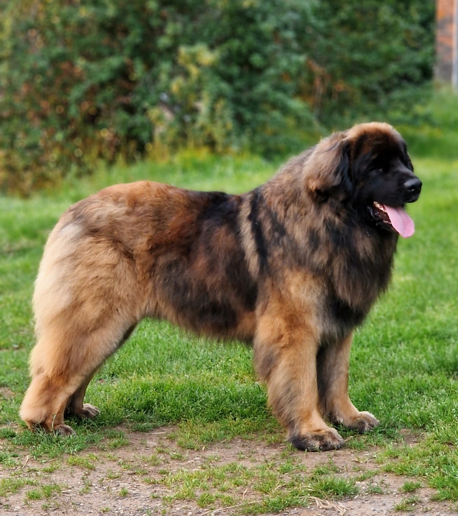 RACKHAM 3 ANS