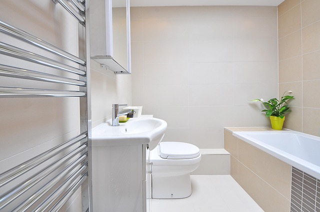 Badezimmer Ausbau