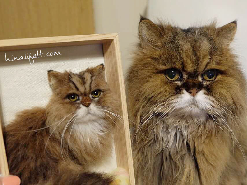 Gallery 羊毛フェルト猫作品 - Hinali羊毛フェルト猫 リアルで