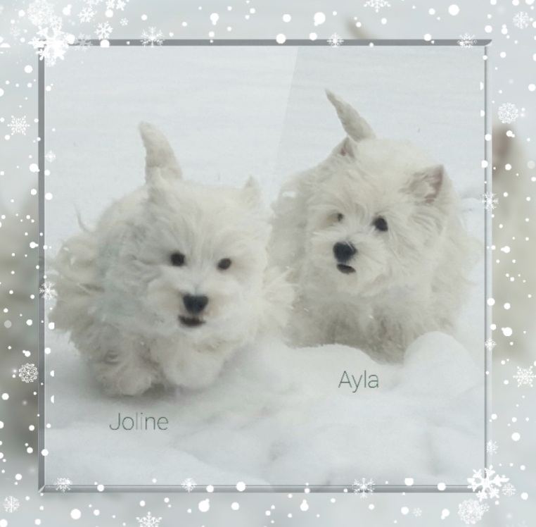 Olia Joline und Ayla 02/2021