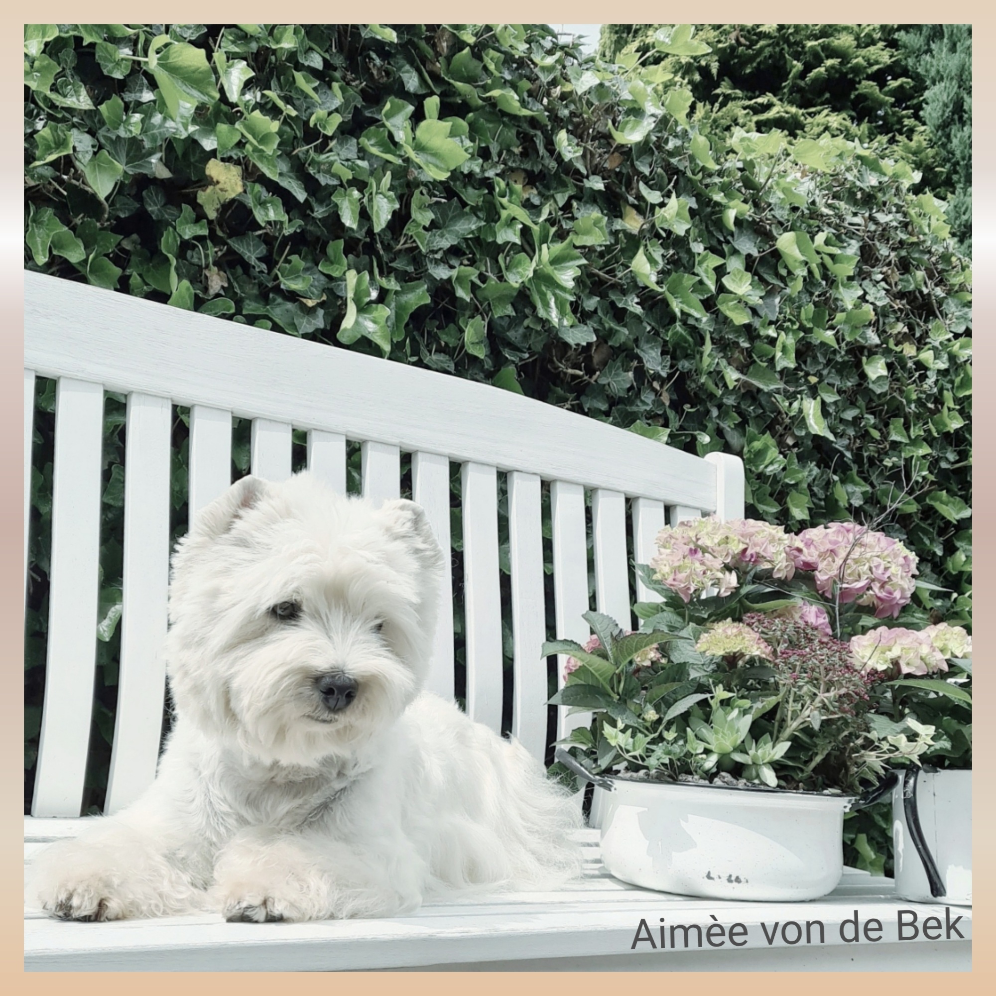 Aimée von de Bek 06/2021