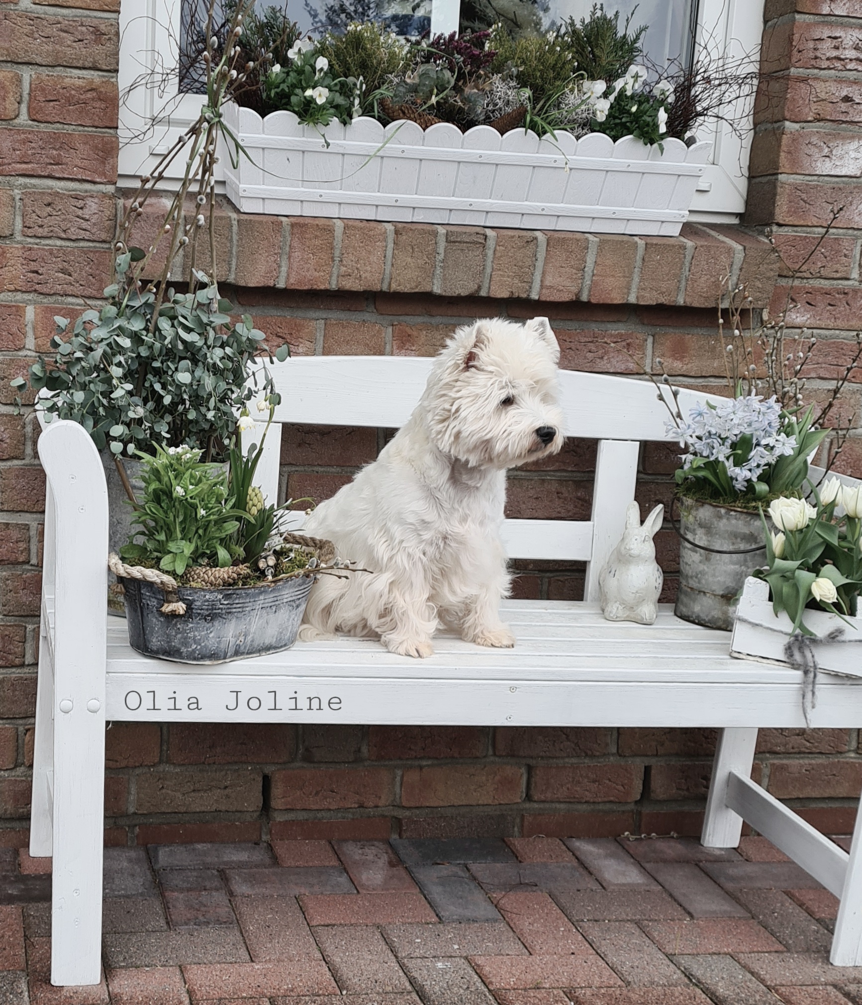 Olia Joline 03/2021