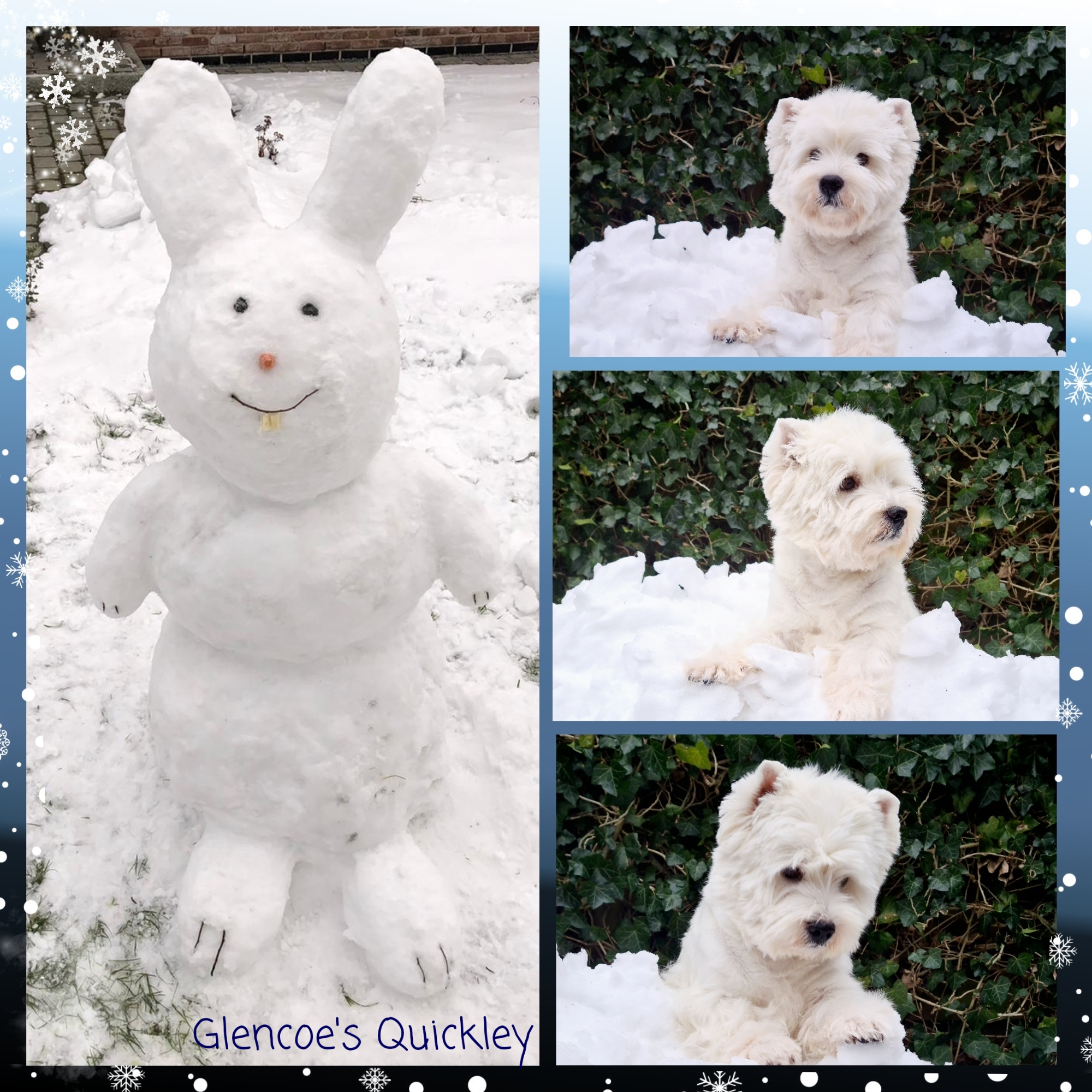 Quickley 02/2021