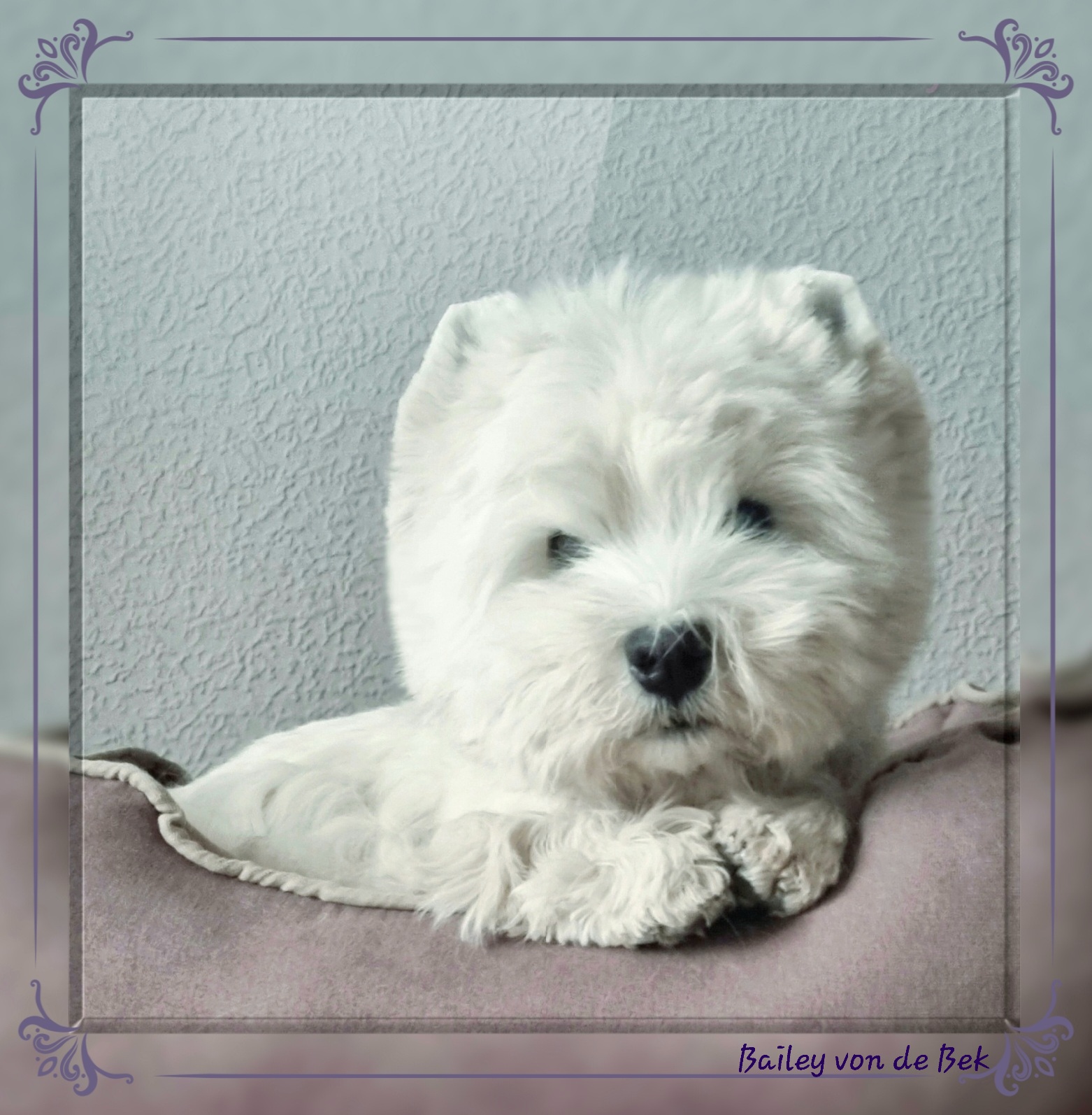 Bailey im Februar 2022