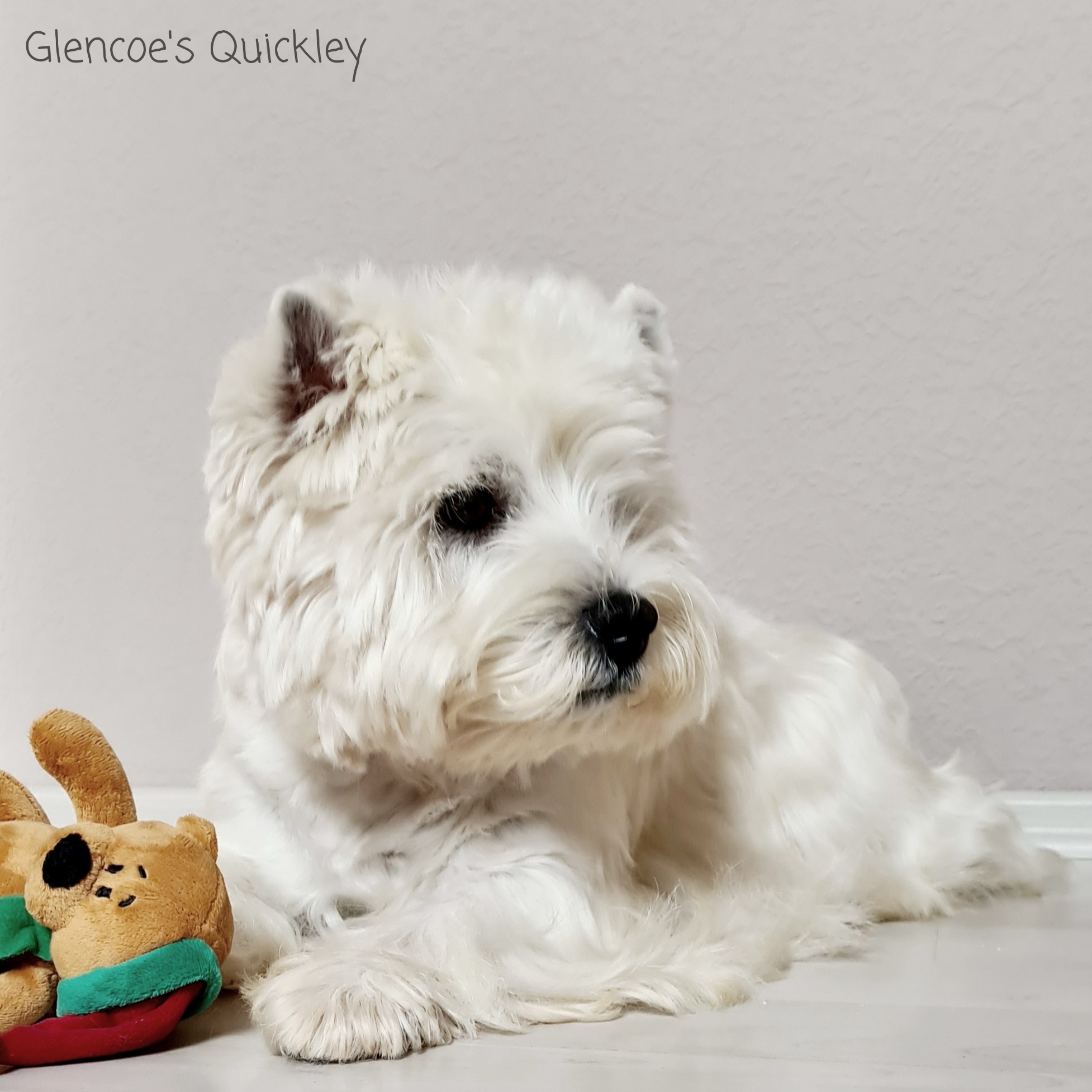 Quickley 10/2021