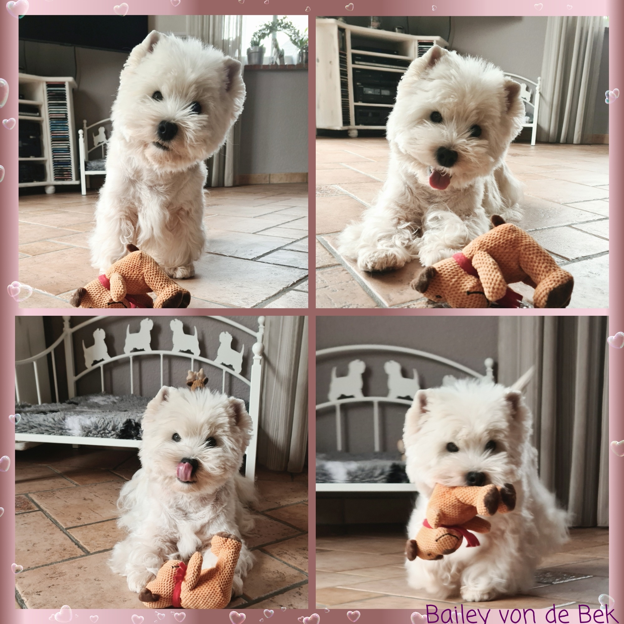 Bailey im März 2021