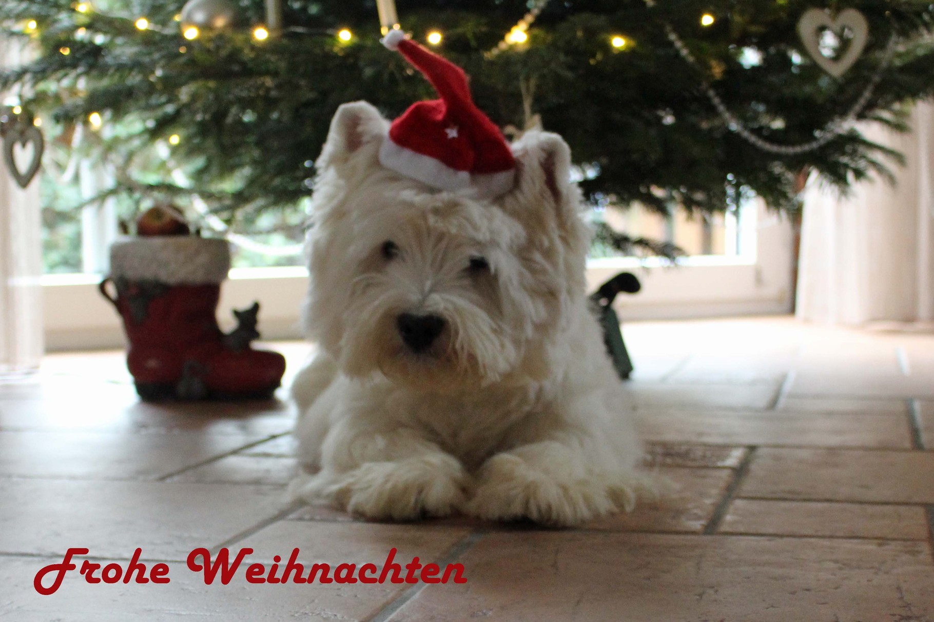 Quickley Weihnachten 2015