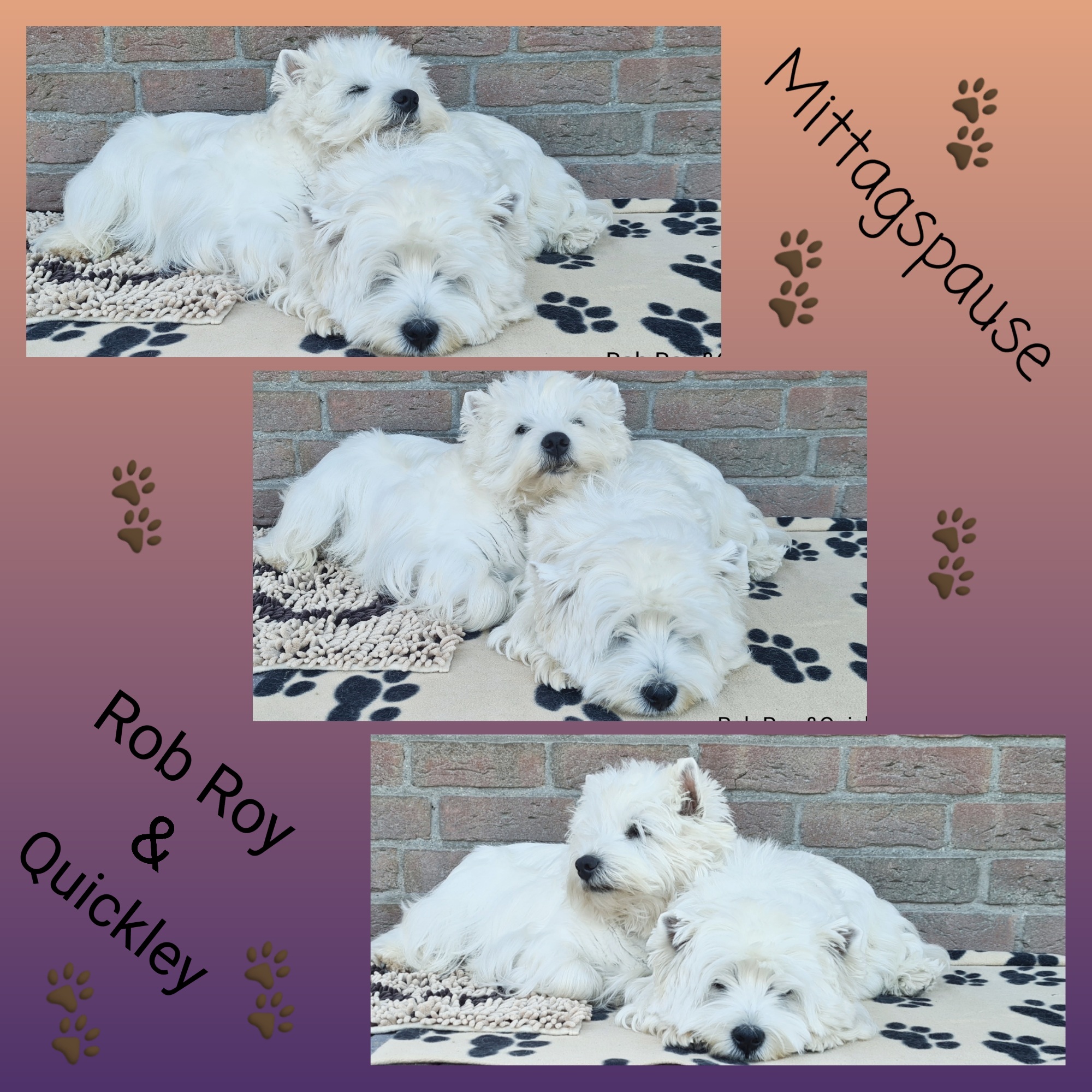 Rob Roy und Quickley 06/2021