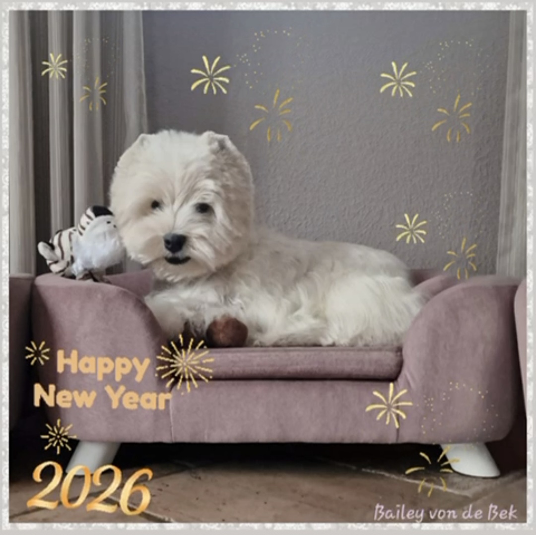 Bailey 01.01.2026