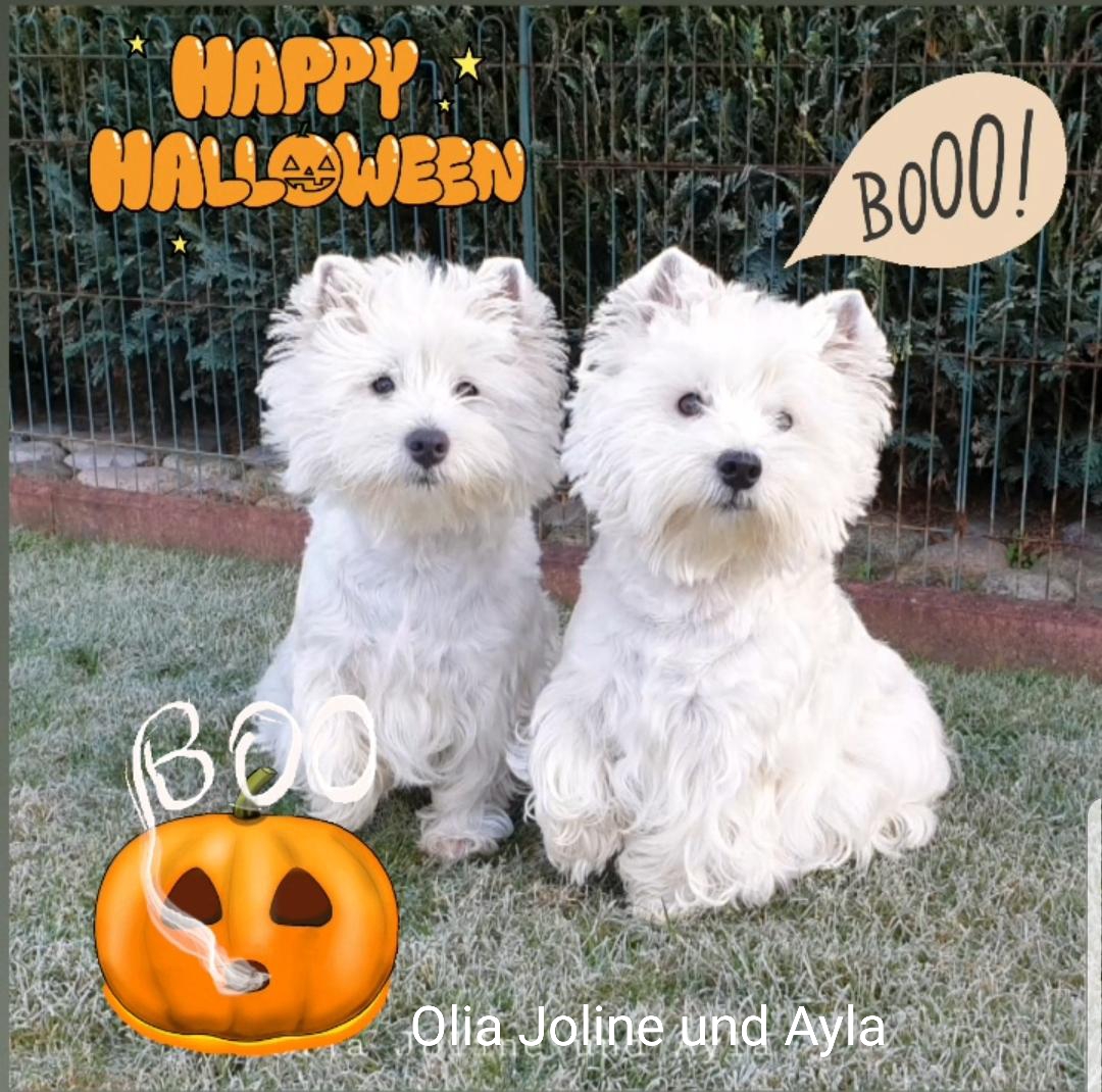 Joline und Ayla 10/2019
