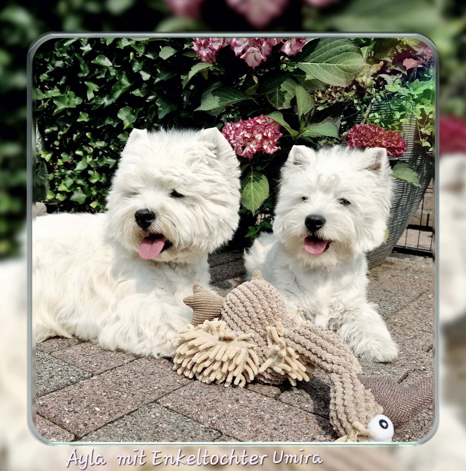 Ayla und Umira 07/2023