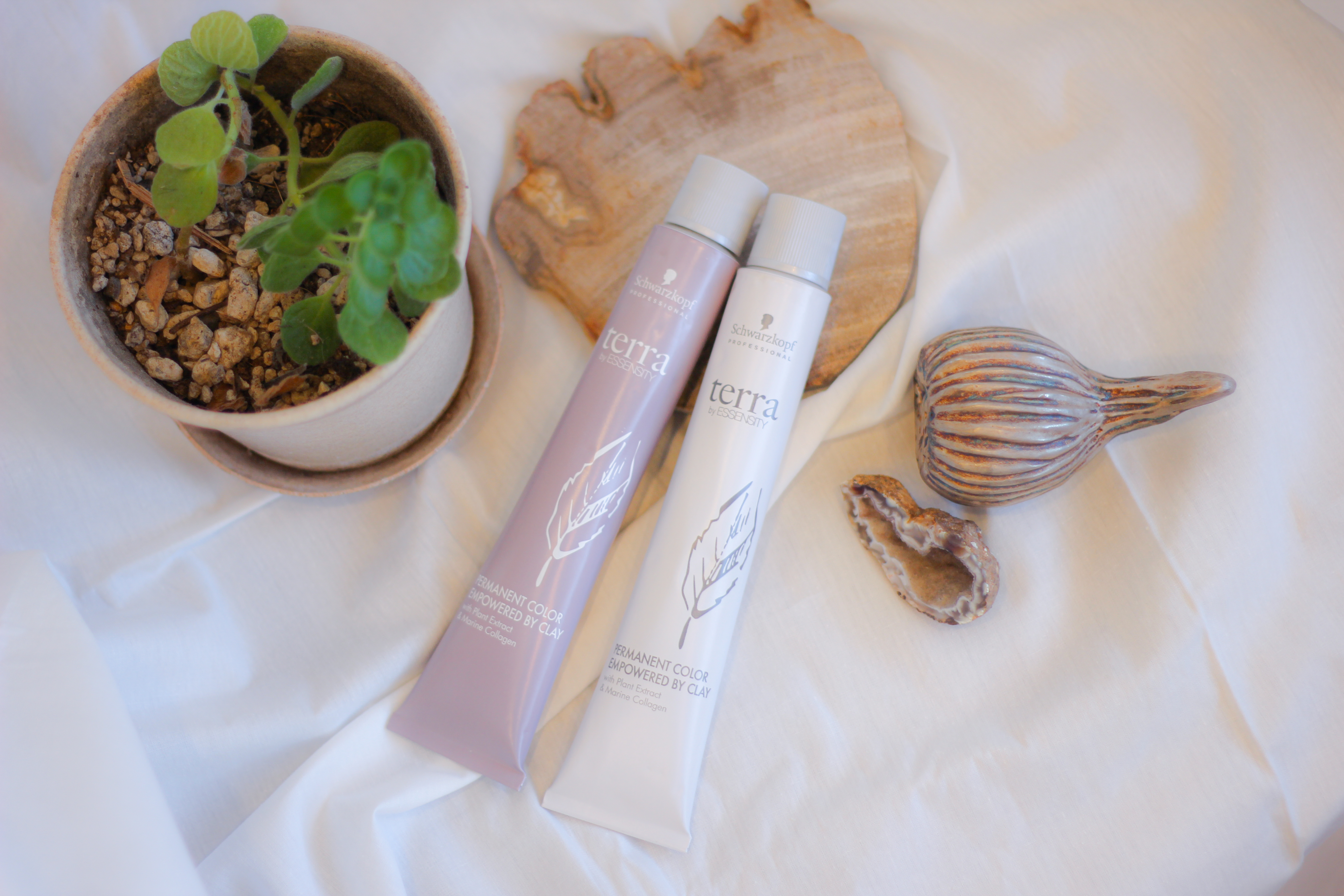 terra by ESSENSITY カラー トリートメント 6本セット HAIR AXCISさんに聞いた☆terra by ESSENSITY | ガモニュー