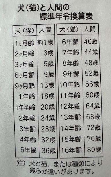 動物病院のお薬の袋の裏に17年は記載されていないので85才くらい?!