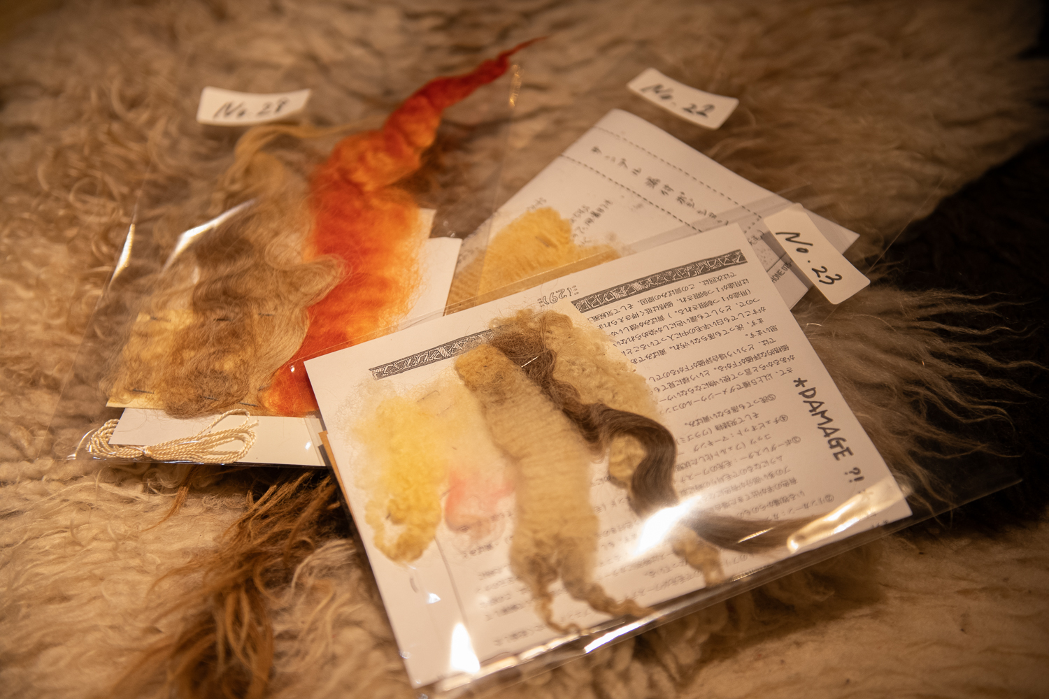 ▲各号のサンプル資料も整理してきちんと保管