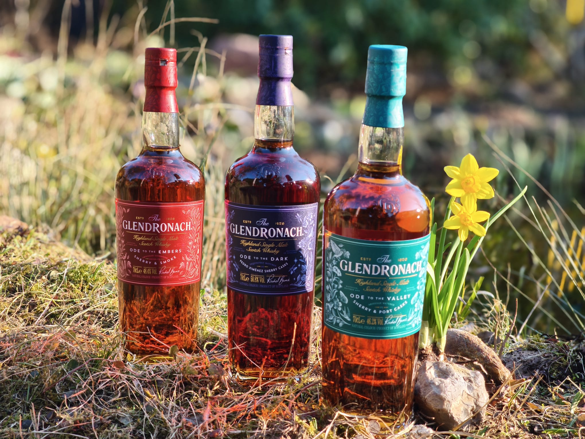 Glendronach's The Master's Anthology