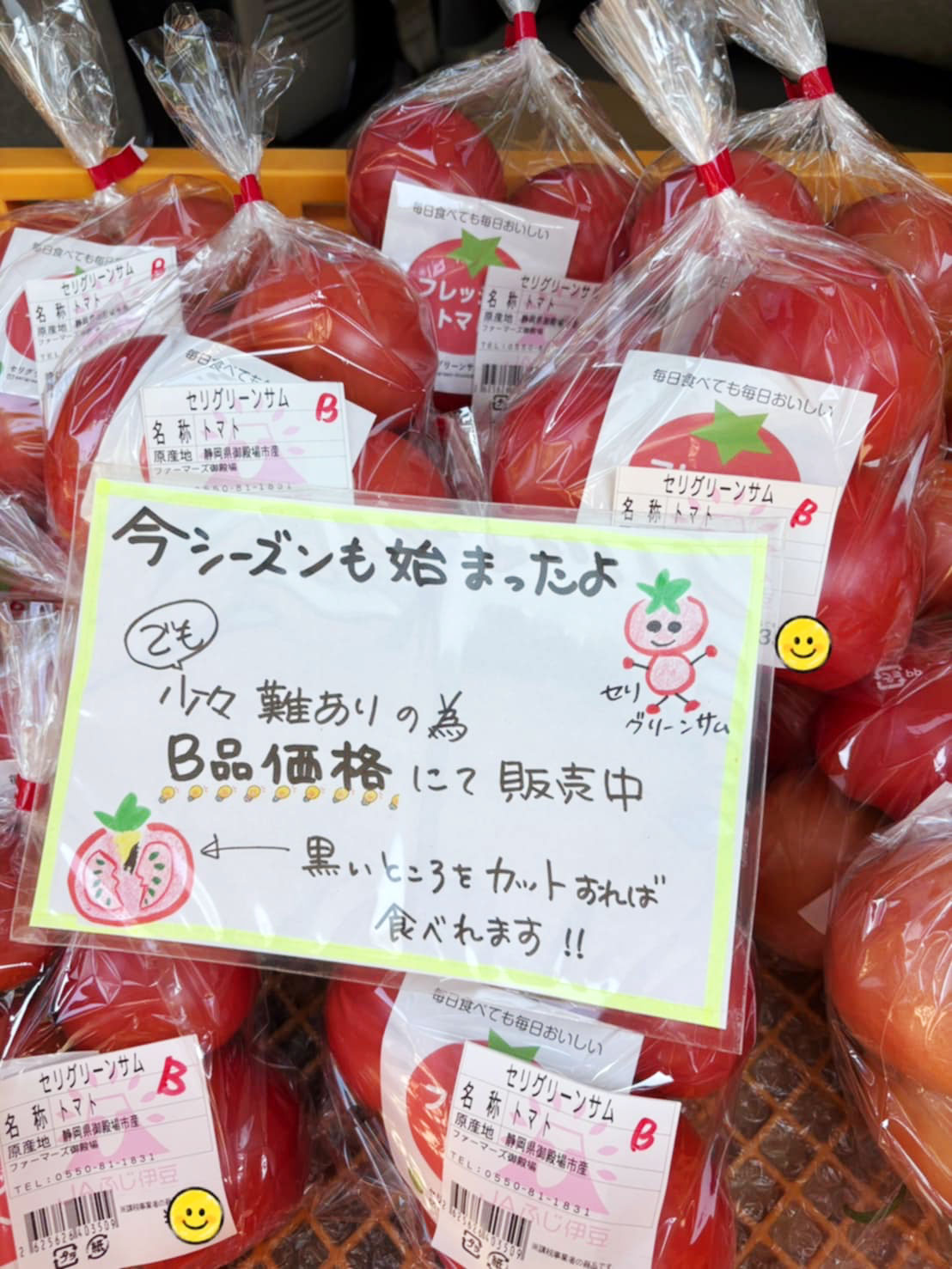 今シーズンSTARTです！！