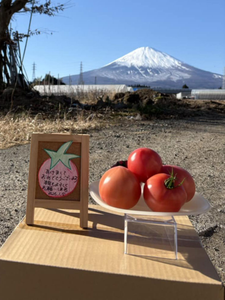 明けましておめでとうございます