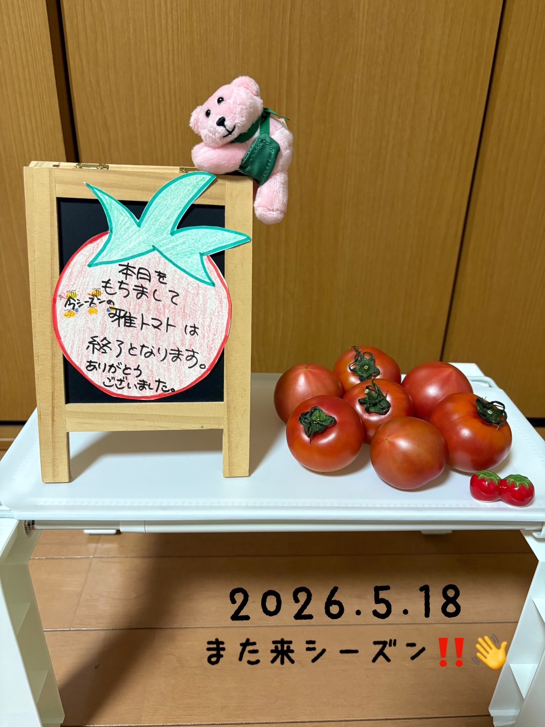 雅トマト 今シーズン終了となります