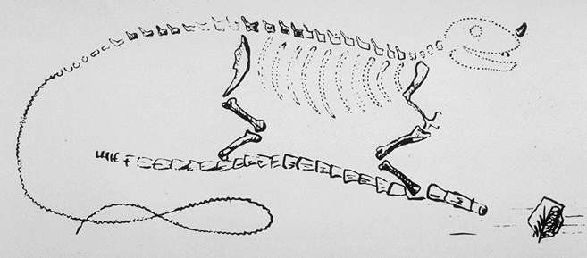 G. Mandel, reconstitution d'un dinosaure, 1825 / in wikipédia