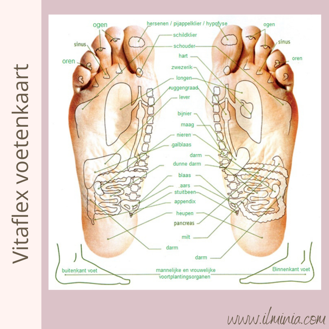 Raindrop & Vitaflex massage