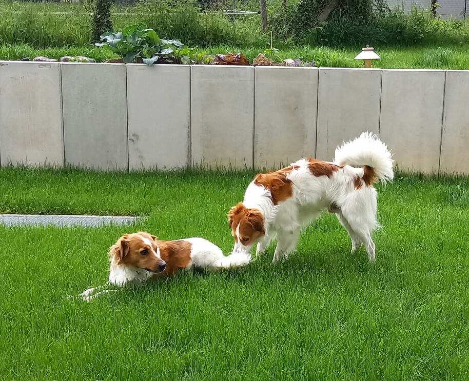 Ein kurzes Schnuppern und schon.....