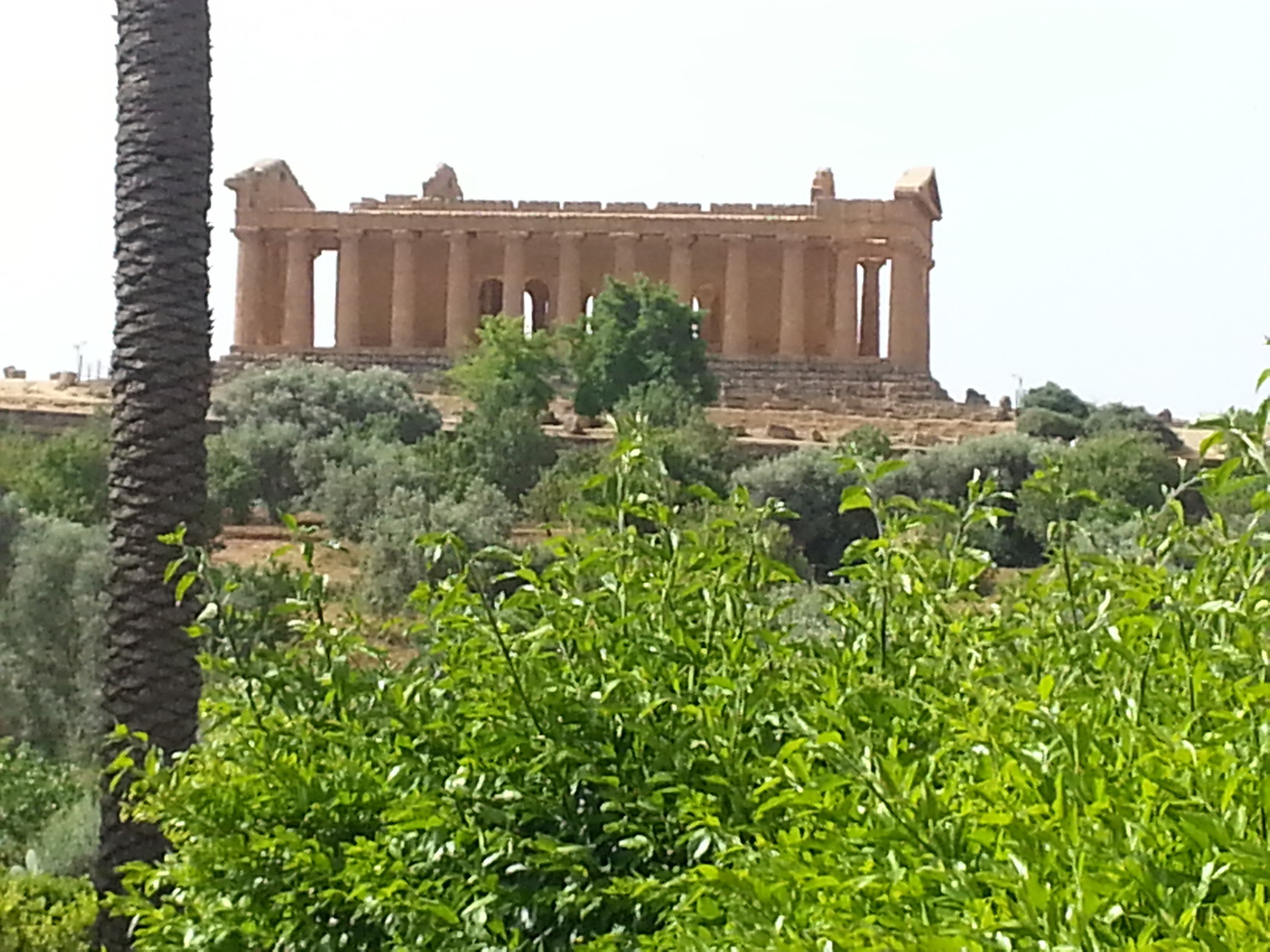 Valley of the Temples Agrigento