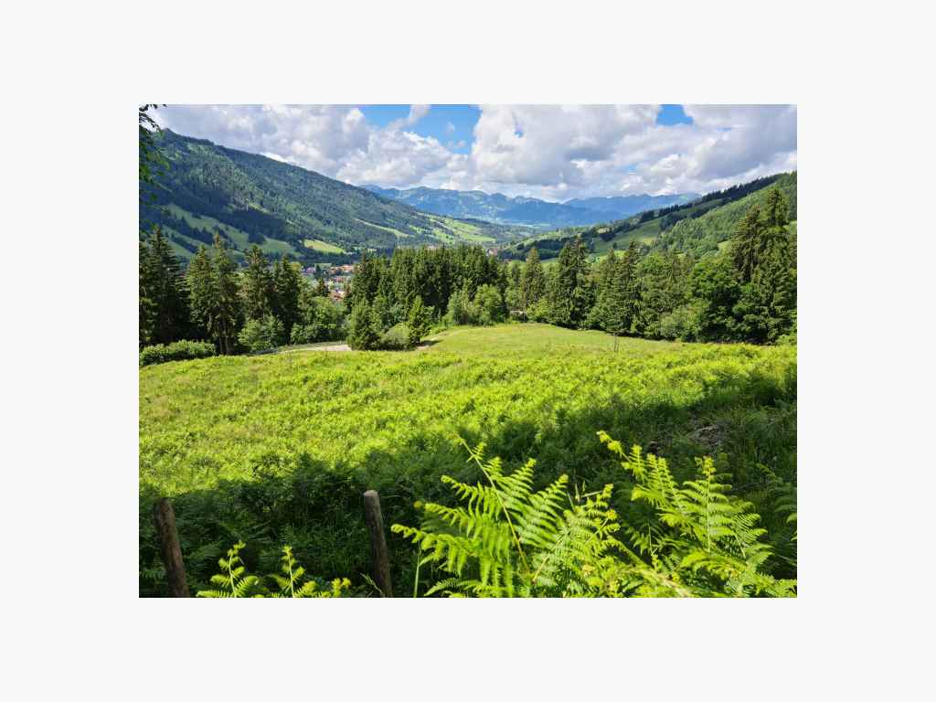 vom Oberjoch auf Bad Hindelang